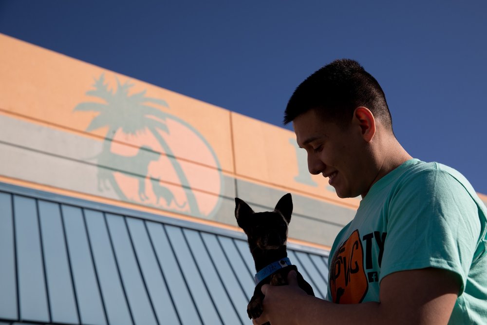PAWSAster7882sak.jpg