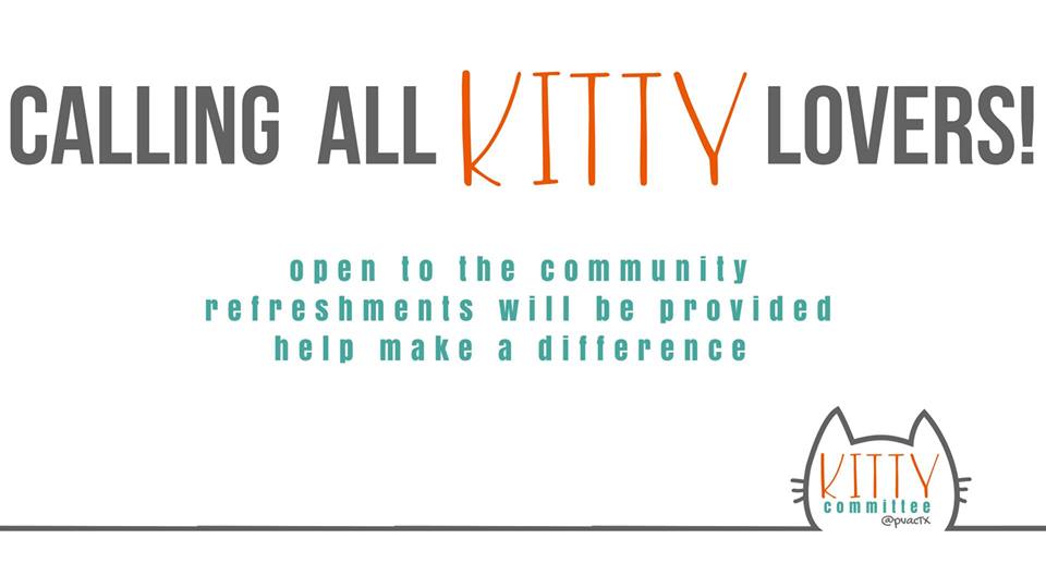 Kitty Committee Meeting